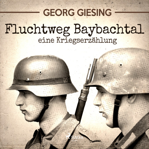 Fluchtweg Baybachtal - eine Kriegserzählung, Georg Giesing