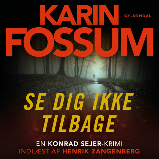 Se dig ikke tilbage, Karin Fossum