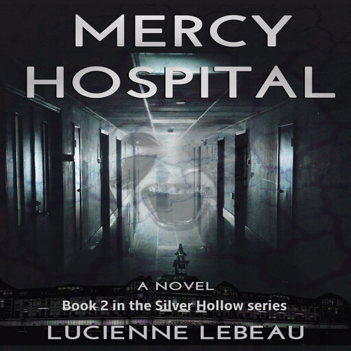 Mercy Hospital: Book 2 in the Silver Hollow Series, Lucienne LeBeau