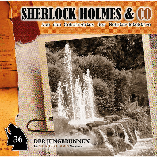 Sherlock Holmes & Co, Folge 36: Der Jungbrunnen, Episode 1, Markus Topf