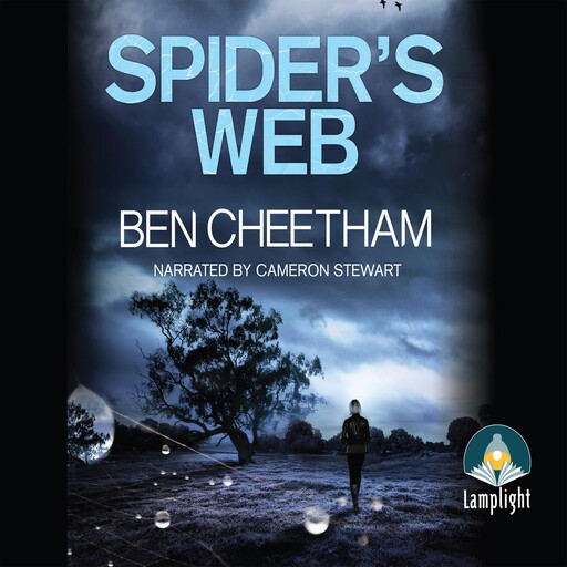 Spider's Web, Ben Cheetham