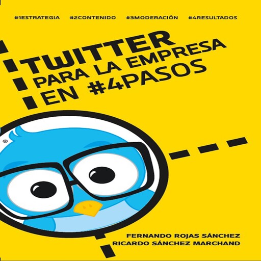 Twitter para la empresa en 4 pasos, Fernándo Sánchez