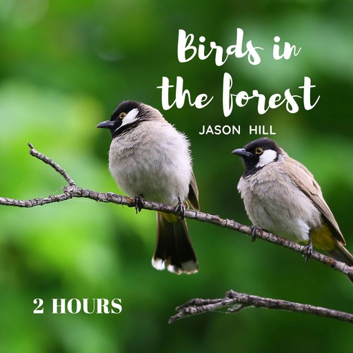 Birds in the Forest, Jason Hill