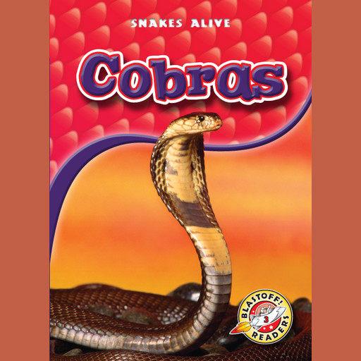 Cobras, Colleen Sexton