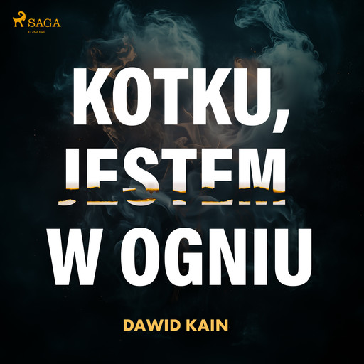 Kotku jestem w ogniu, Dawid Kain