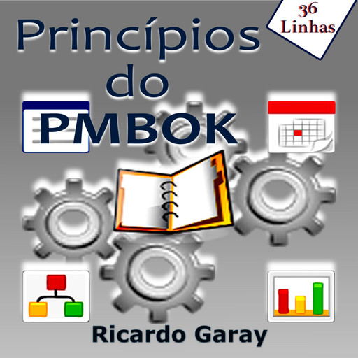 Princípios do PMBOK, Ricardo Garay