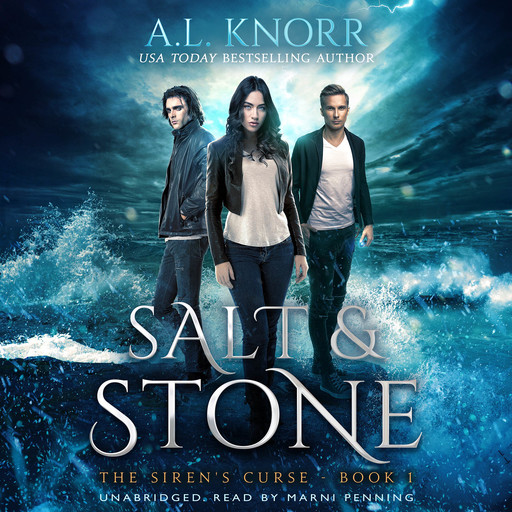 Salt & Stone - Audiobook, A.L. Knorr