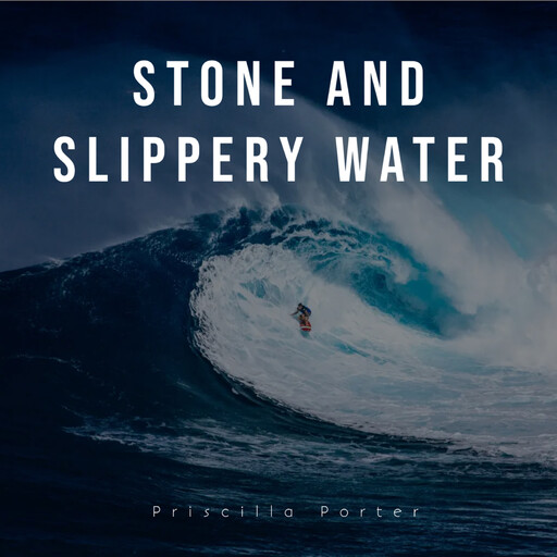 Stone and Slippery Water, PRISCILLA PORTER