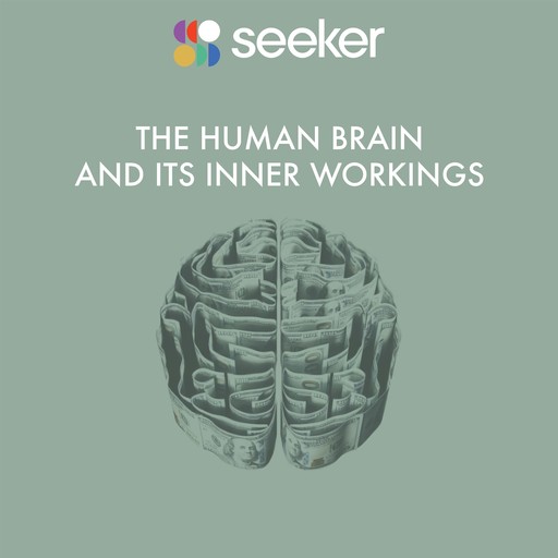 The Human Brain and its Inner Workings, Seeker