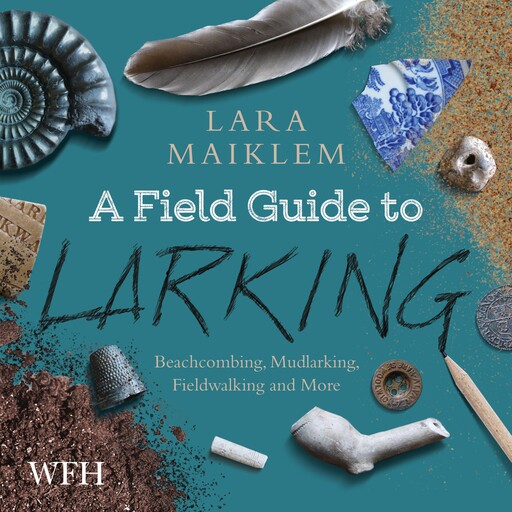 A Field Guide to Larking, Lara Maiklem