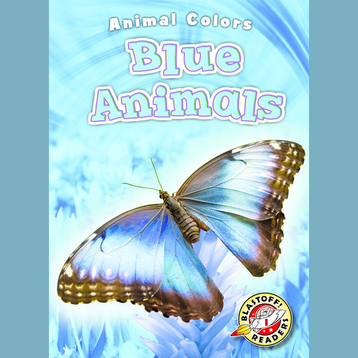 Blue Animals, Christina Leaf