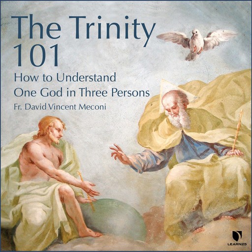 The Trinity 101, David Meconi