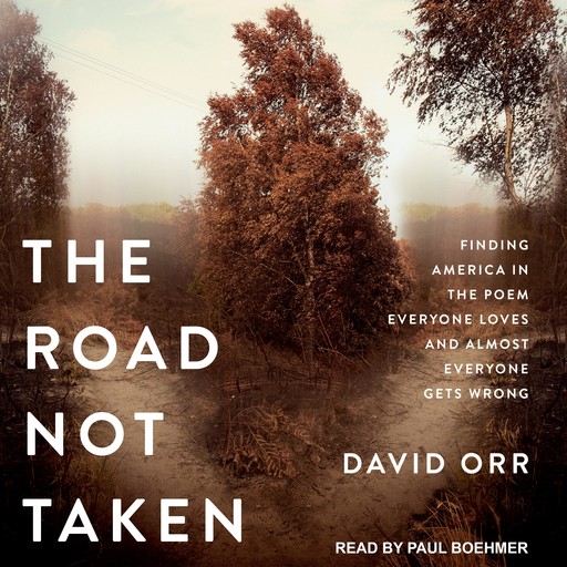 The Road Not Taken, David Orr