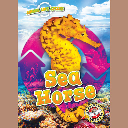 Animal Life Cycles: Sea Horse, Elizabeth Neuenfeldt