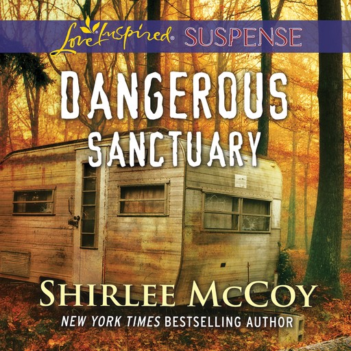 Dangerous Sanctuary, Shirlee McCoy