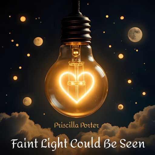 Faint Light Could Be Seen, PRISCILLA PORTER