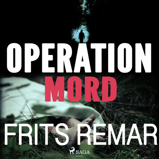 Operation Mord, Frits Remar