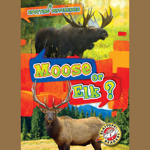 Moose or Elk?, Kirsten Chang