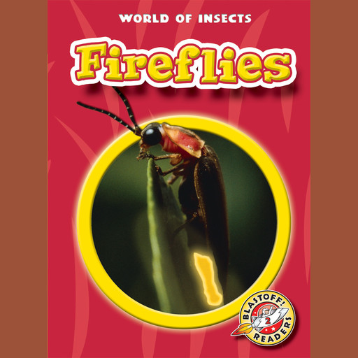 Fireflies, Emily K. Green