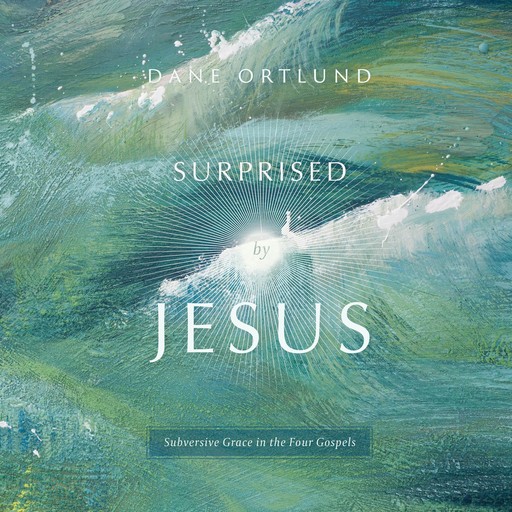 Surprised by Jesus, Dane Ortlund