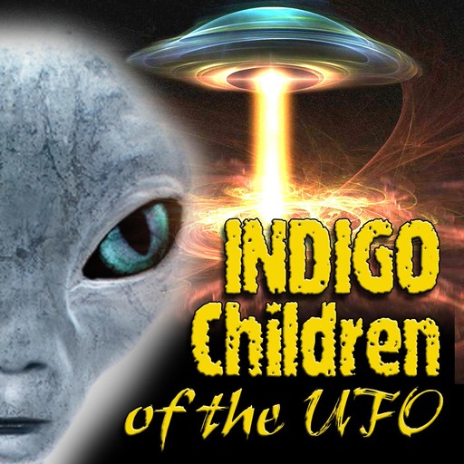 The Indigo Children of the UFO, Ann Andrews