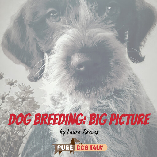 Dog Breeding: Big Picture, Laura Reeves