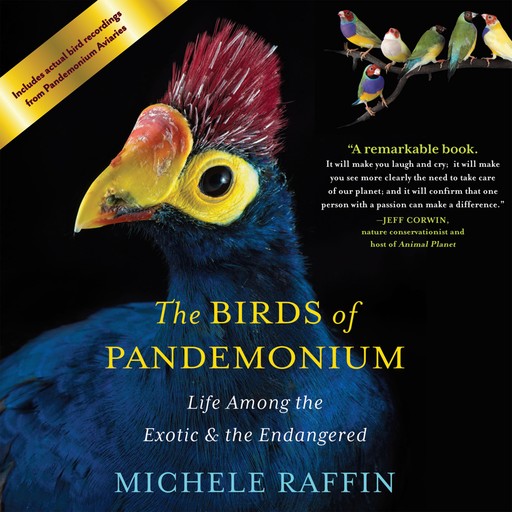 The Birds of Pandemonium, Michele Raffin