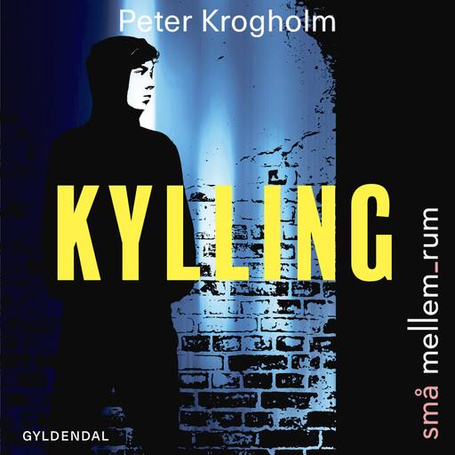 små mellem_rum. Kylling, Peter Krogholm