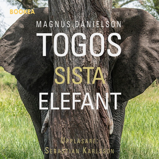 Togos sista elefant, Magnus Danielson