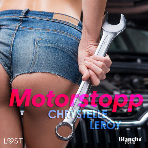 Motorstopp - erotisk novell, Chrystelle Leroy