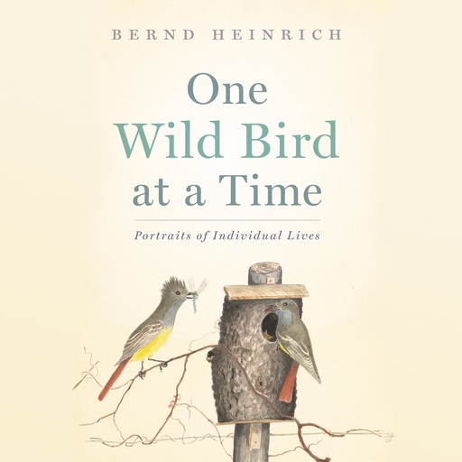 One Wild Bird at a Time: Portraits of Individual Lives, Bernd Heinrich