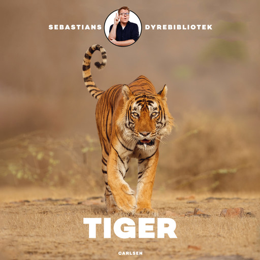 Sebastians dyrebibliotek - Tiger, Sebastian Klein