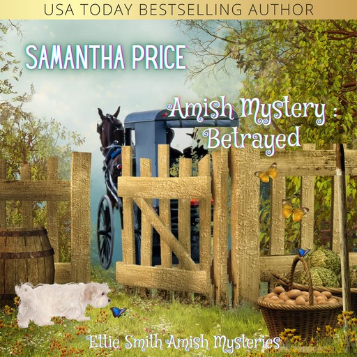Amish Mystery: Betrayed, Samantha Price