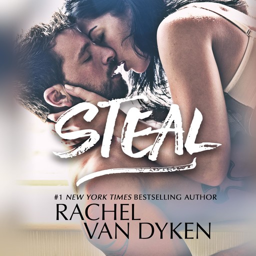 Steal, Rachel van Dyken