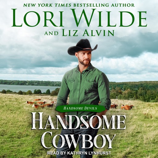 Handsome Cowboy, Lori Wilde, Liz Alvin