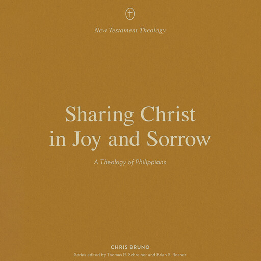 Sharing Christ in Joy and Sorrow, Chris Bruno