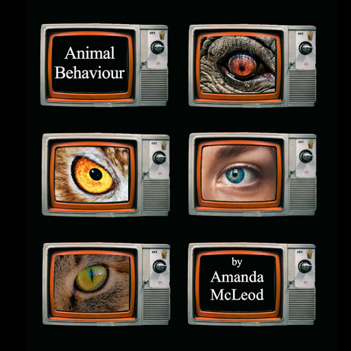 Animal Behaviour, Amanda McLeod