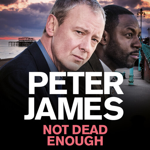 Not Dead Enough, Peter James