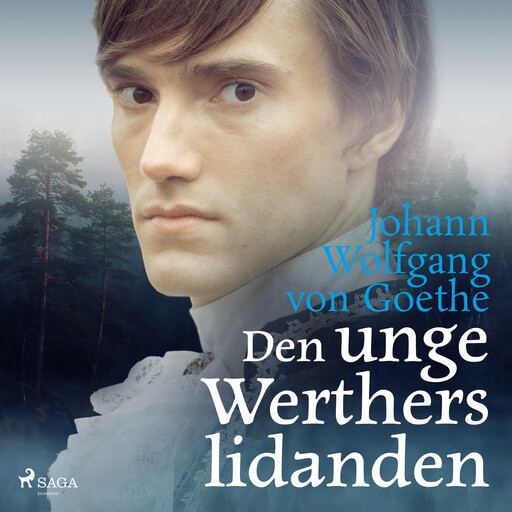 Den unge Werthers lidanden, Johann Wolfgang von Goethe