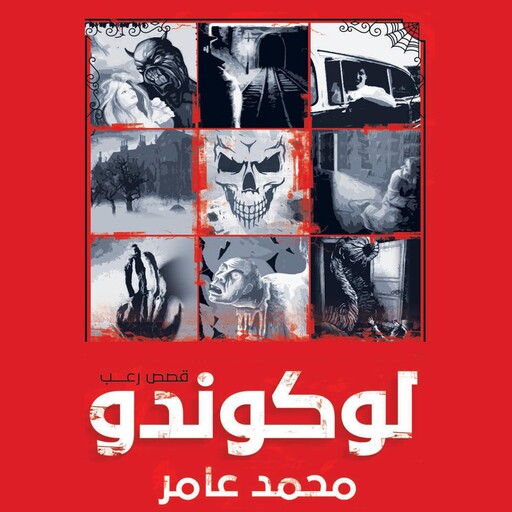 لوكوندو, محمد عامر