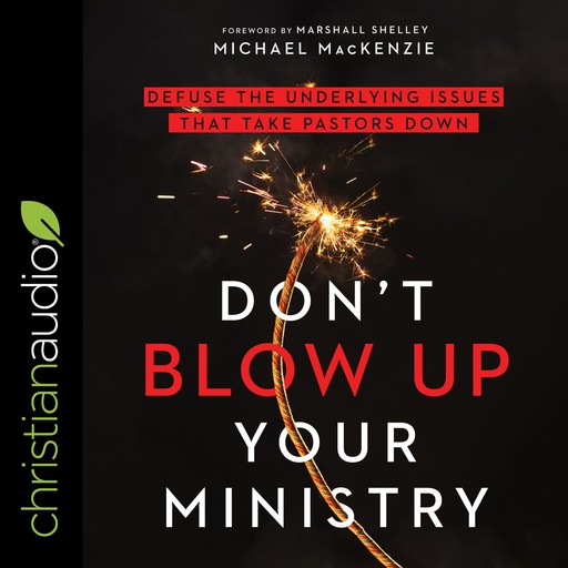 Don't Blow Up Your Ministry, Shelley Marshall, Michael MacKenzie
