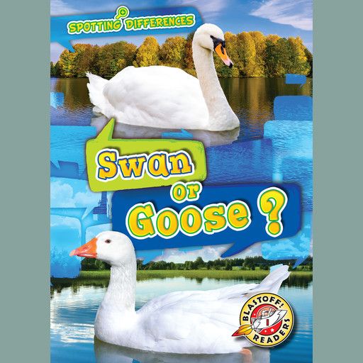 Swan or Goose?, Kirsten Chang