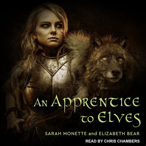 An Apprentice to Elves, Elizabeth Bear, Sarah Monette