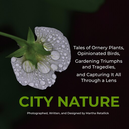 City Nature, Martha Retallick