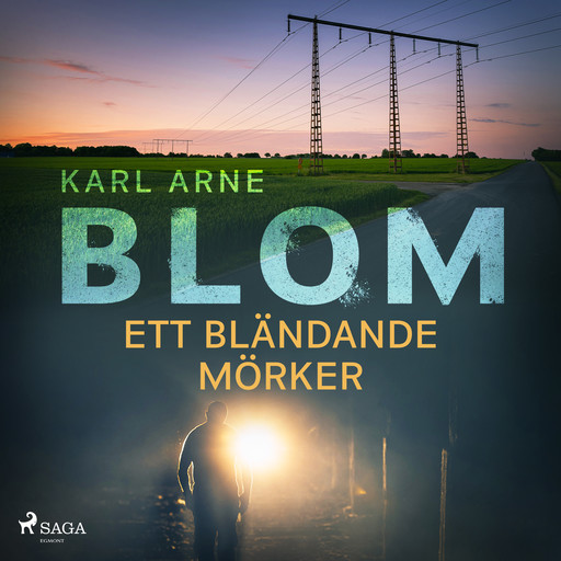 Ett bländande mörker, Karl Arne Blom