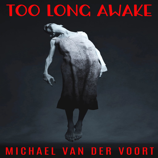 Too Long Awake, Michael van der Voort