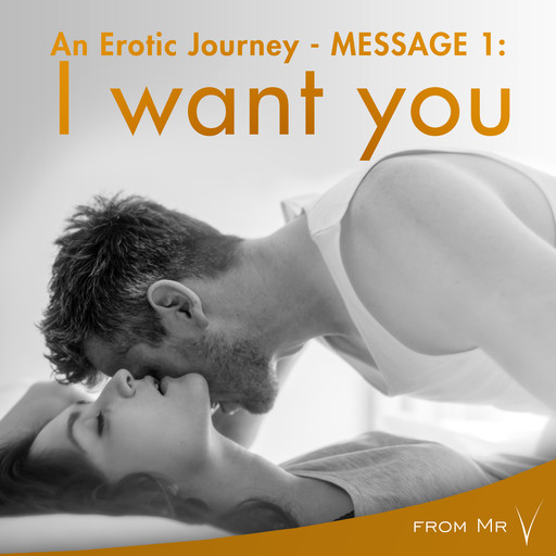 An Erotic Journey, Message 1: I want you, fromV