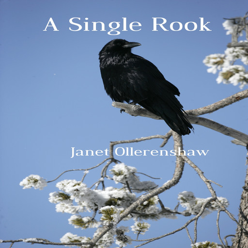 A Single Rook, Janet Ollerenshaw