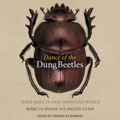 Dance of the Dung Beetles, Helen Lunn, Marcus Byrne