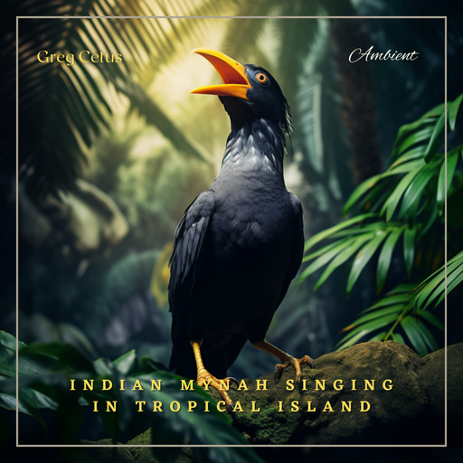 Indian Mynah Singing in Tropical Island, Greg Cetus